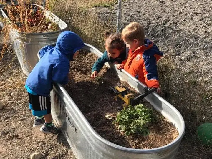 Two children investigating plants and soil in a raised garden container.